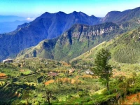 Spring View Holiday Bungalow Ohiya 
