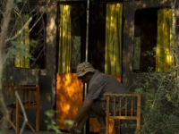 Mahoora Tented Safari Camp - Wilpattu 