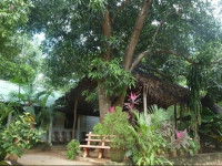 Ariya Rest House