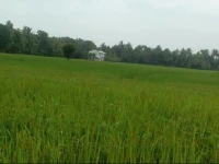 Samanala Rest Polonnaruwa 