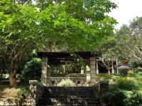 Green Olive Villa 