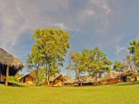 Green Ayurvedic Resort 