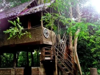 Jiwes Hide Out Forest region 