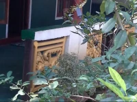 Bandula Home Stay 