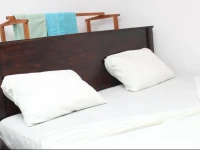 Padmini Lodge 