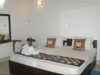 Sigiri Access Villa 