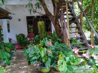 Sigiriya River Side Home Stay 