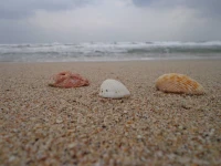 Carmels Beach Resort 