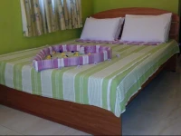 Elephants Fence Guest & Safari Services 