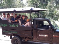 Ivory Safari Village 