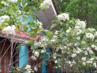 Mountpark Resort Udawalawa 