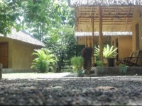 Private Organic House 