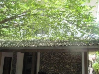 My Place Guest House Unawatuna 