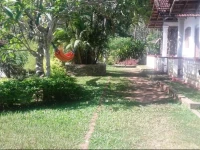 Palm Hill / Palm Villa 