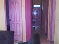 Orchid Guest house 