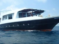 Mv Aisha 3*