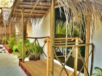 Maafushi View 