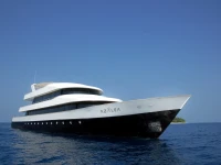 Azalea Cruise / Азалея круизная яхта 
