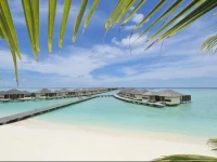 Paradise Island Resort & Spa 