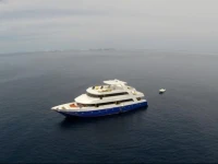 Manta Cruise 