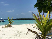 Kahanbu Ocean View