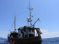 Boat MS Cutty Jean 