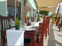 Shaquila Lodge 