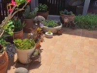 GuestHouse 1109 