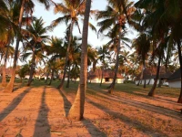 Blue Moon Beach Holiday Resort 3*