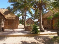 Palm Grove Lodge 