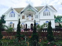 Green Haven Hotel 2*