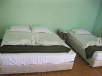 Hotel Apple 2*