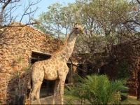Okutala Etosha Lodge 