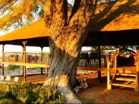 Stampriet Historical Guesthouse 