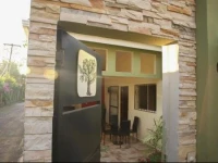 The Olive Tree 