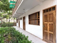 Casa Arbol 