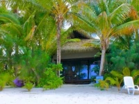 Heliconia Hideaway 
