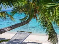 Golden Palms Town Apartments Rarotonga 3*