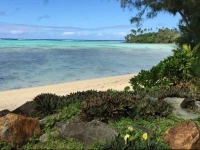 Muri Beach Holiday Homes 