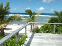 Tropical Sands