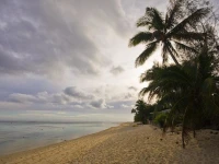 Arapati Holiday Homes 