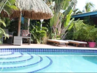 Caribbean Flower Apartments 