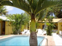 Iguana Inn 