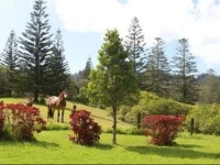 Hamishs Cottages 3*
