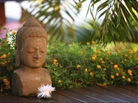 La Villa Zen 