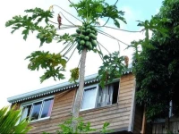 Villa HГ©lГЁna Chalets 