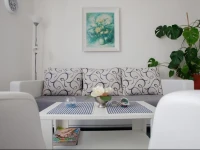 Apartment Cernica 3*