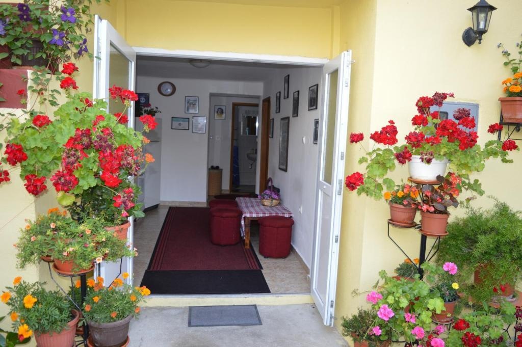 Hostel David 4*