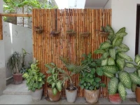The Chalet Bed &amp; Breakfast 50-B 