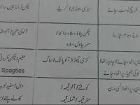Continental Girls Hostel near Akbar Chowk 
